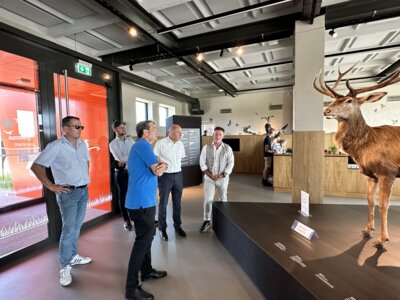 Vorschaubild der Galerie