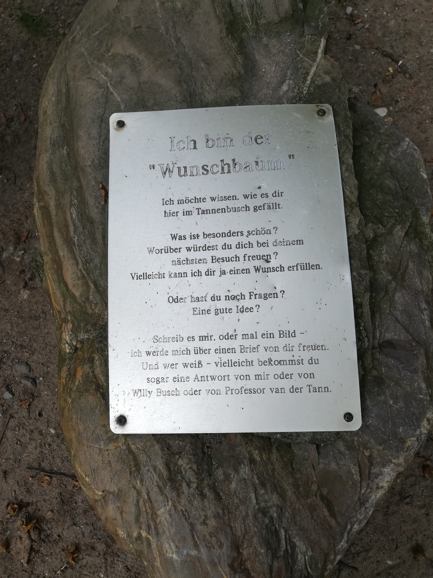 Bild der Galerie