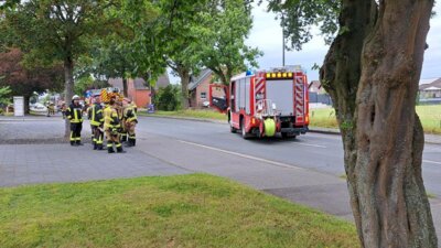 Foto des Albums: Einsatz 25/2024 - H1