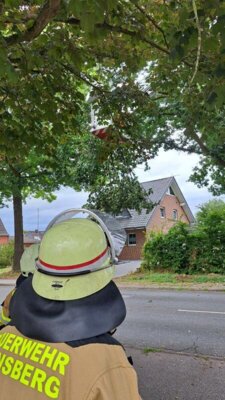 Foto des Albums: Einsatz 25/2024 - H1