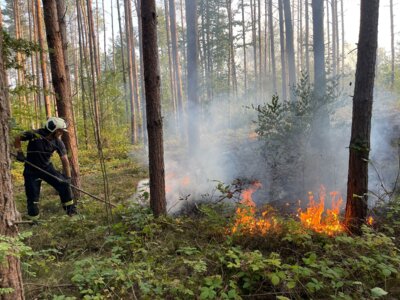 Foto des Albums: Waldbrand nördlich Spitzgrundteich (23. 08. 2024)