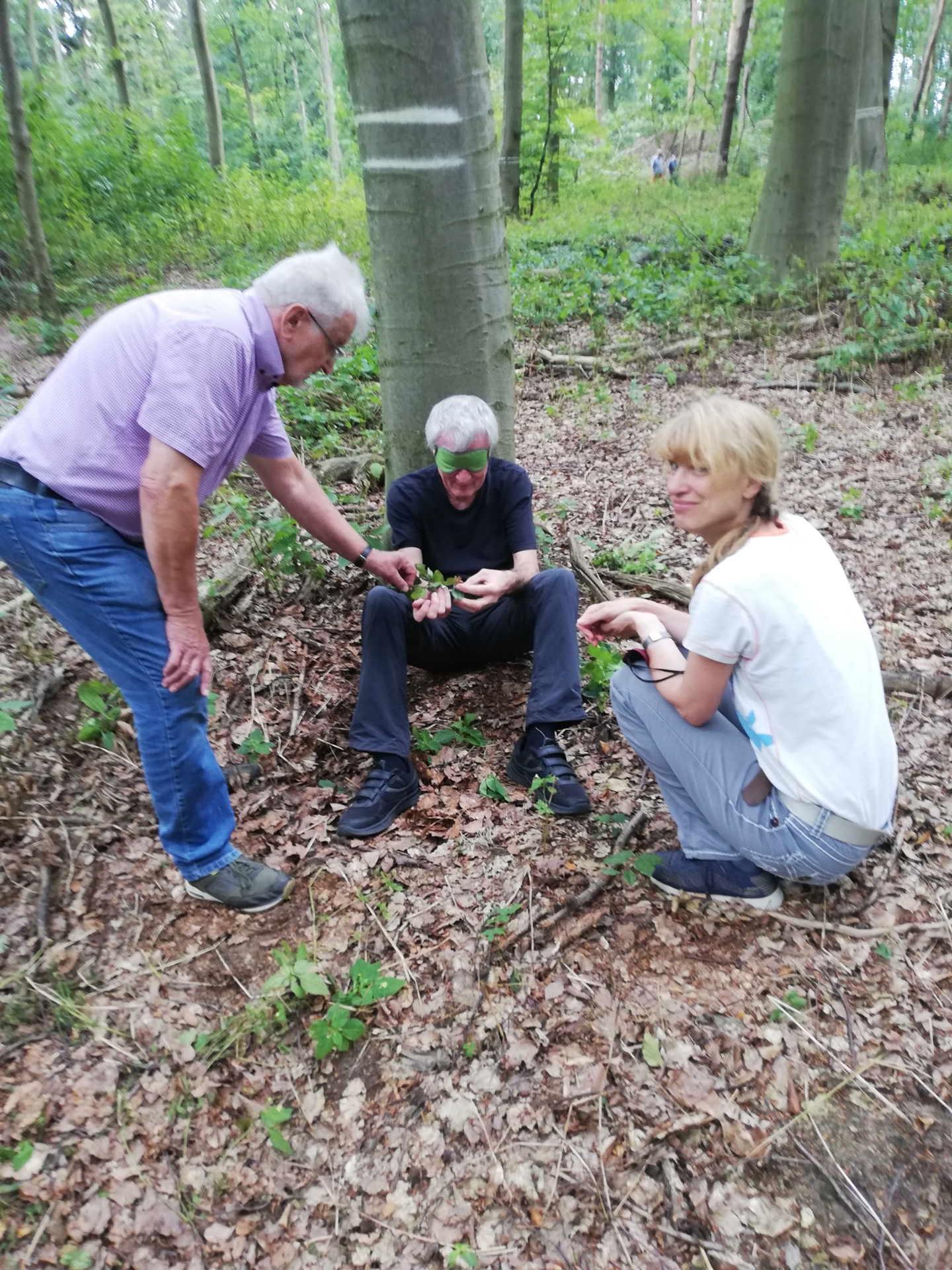 Bild: Wie fühlt sich Wald an?