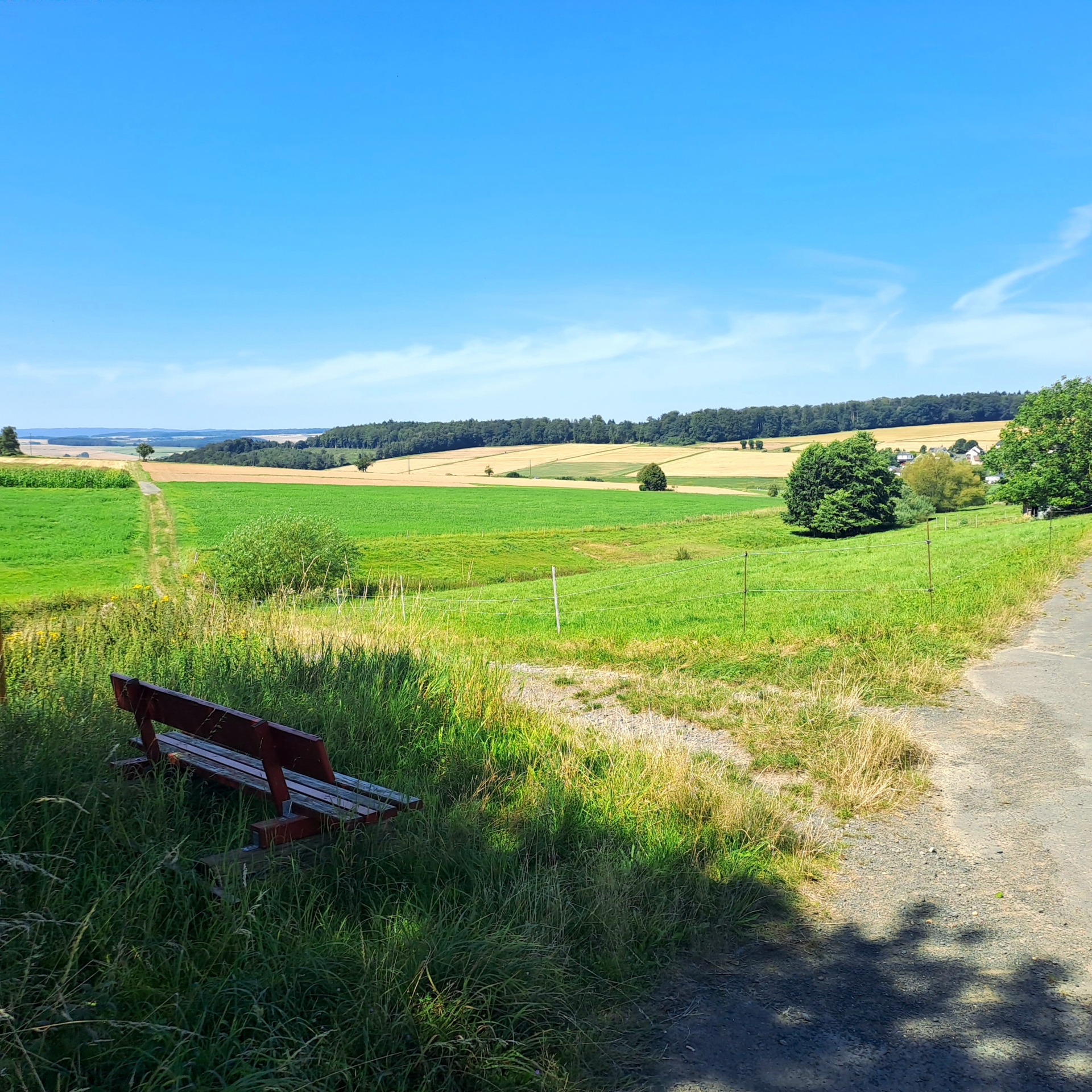 Bild: Blick Richtung Endlichhofen Bogel ins Blaue Ländchen