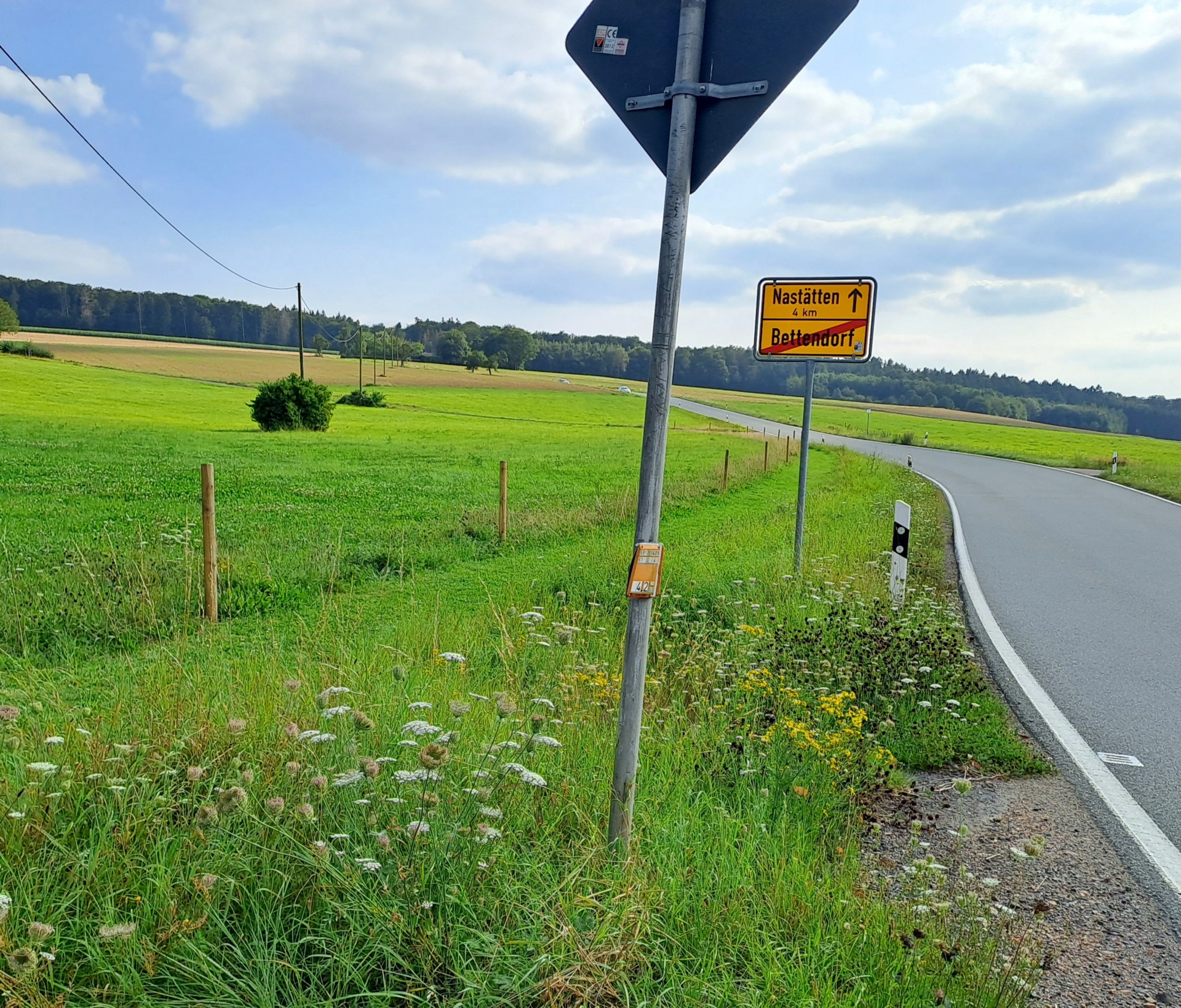 Bild: über den neuen Wiesenpfad Richtung Nastätten