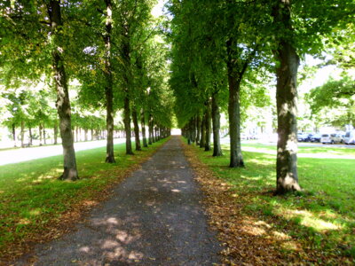 Georgengarten  (Bild vergr&ouml;&szlig;ern)