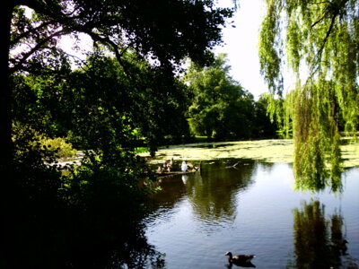Im Georgengarten  (Bild vergr&ouml;&szlig;ern)
