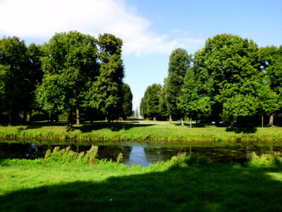 Sch&ouml;n  (Bild vergr&ouml;&szlig;ern)