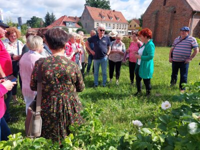 Foto des Albums: Führung durch Gardelegen mit Kräuterfrau Maria Hellge (23.06.2024)