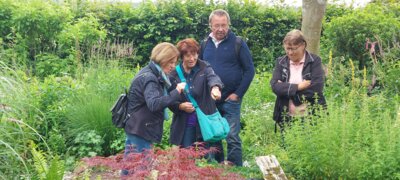 Foto des Albums: Landschaftsgarten Heidenreich (23.06.2024)