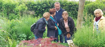 Foto des Albums: Landschaftsgarten Heidenreich (23.06.2024)