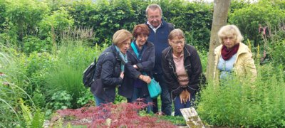 Foto des Albums: Landschaftsgarten Heidenreich (23.06.2024)