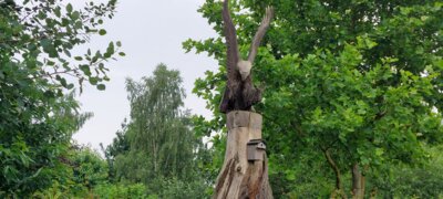 Foto des Albums: Landschaftsgarten Heidenreich (23.06.2024)