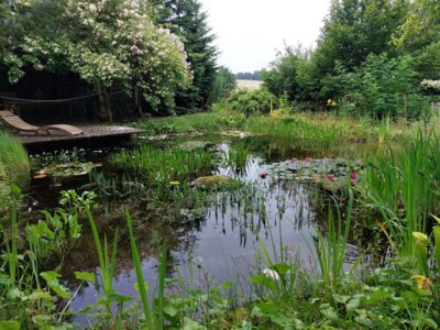 Foto des Albums: Landschaftsgarten Heidenreich (23.06.2024)