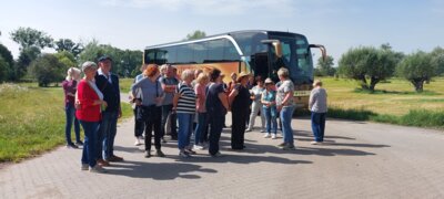 Foto des Albums: Rosengarten an der alten Elbe (23.06.2024)