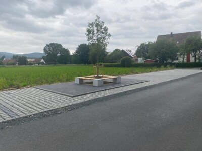 Auch die Begr&uuml;nung wurde erneuert - B&auml;ume wurden mit Sitzgruppen eingefasst  (Bild vergr&ouml;&szlig;ern)