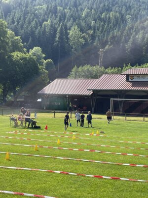 Foto des Albums: Bundesjugendspiele im Schuljahr 2023/24