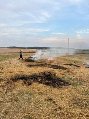 Foto des Albums: Übung Vegetationsbrand