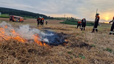 Foto des Albums: Übung Vegetationsbrand