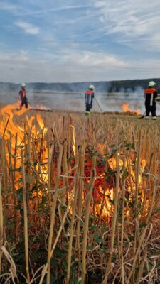 Foto des Albums: Übung Vegetationsbrand