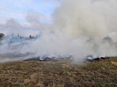 Foto des Albums: BF-Tag der Jugendfeuerwehr Tag 1