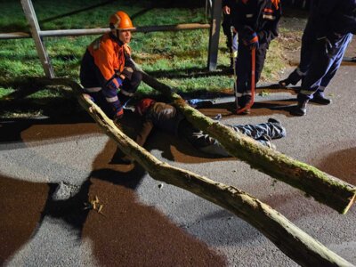 Foto des Albums: BF-Tag der Jugendfeuerwehr Tag 2