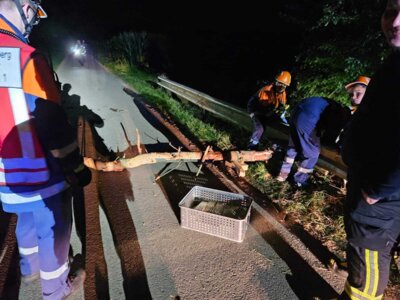 Foto des Albums: BF-Tag der Jugendfeuerwehr Tag 2