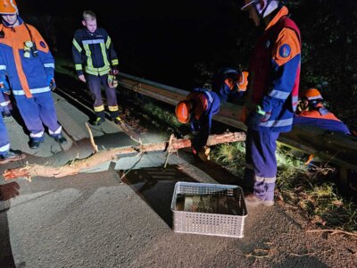 Foto des Albums: BF-Tag der Jugendfeuerwehr Tag 2