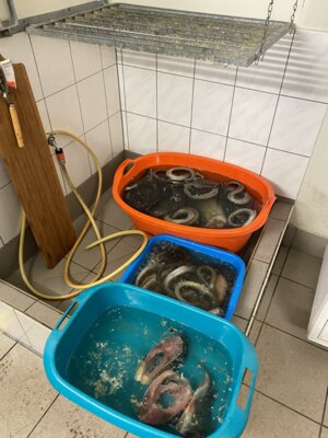 Foto des Albums: Weihnachtliche Grüße des Vorsitzenden