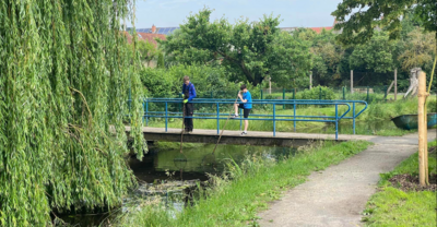 Foto des Albums: Arbeitseinsatzes vom 01.06.2024