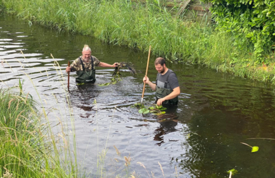 Foto des Albums: Arbeitseinsatzes vom 01.06.2024