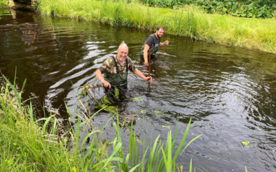 Foto des Albums: Arbeitseinsatzes vom 01.06.2024