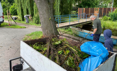 Foto des Albums: Arbeitseinsatzes vom 01.06.2024