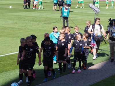 Foto des Albums: E-Jugend Holstein Kiel