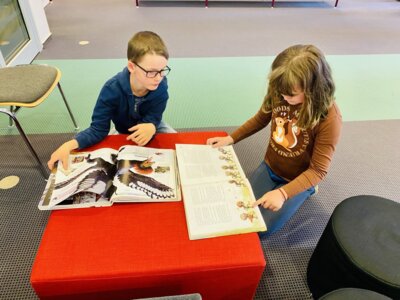 Foto des Albums: Ein Ausflug in die Welt der Bücher