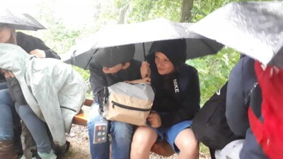 Foto des Albums: Waldjugendspiele