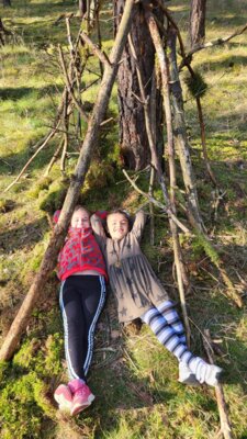 Foto des Albums: Waldtipis