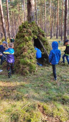 Foto des Albums: Waldtipis