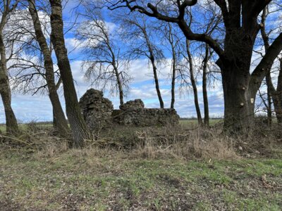 Foto des Albums: Sanierung Burgruine „Kuhburg“ Wüsten Vahrnow