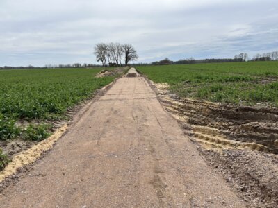 Foto des Albums: Sanierung Burgruine „Kuhburg“ Wüsten Vahrnow