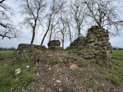 Foto des Albums: Sanierung Burgruine „Kuhburg“ Wüsten Vahrnow