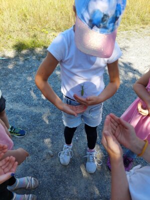 Foto des Albums: Ausflug in die Heide