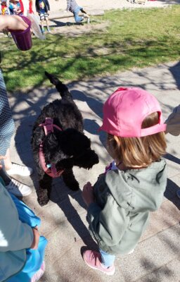 Foto des Albums: Hündin Carla ist zu Besuch