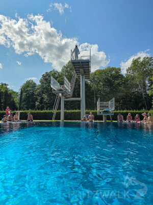 Foto des Albums: Neptunfest 2024 mit Sprungkunst und Schaumparadies