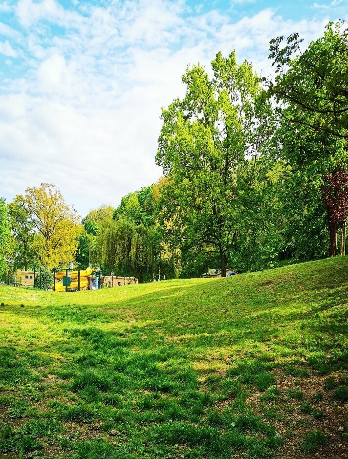 Bild: Wiese mit Blick zum Freibad Neuzelle