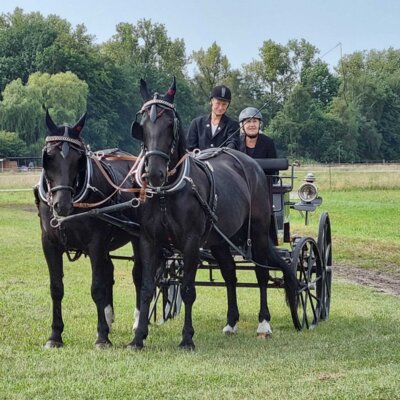 Foto des Albums: 4. Fahrertag 31.08.2024