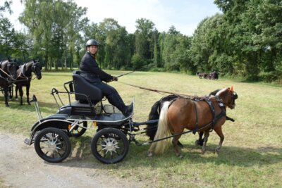Foto des Albums: 4. Fahrertag 31.08.2024