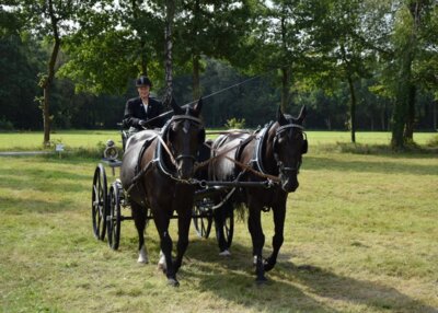Foto des Albums: 4. Fahrertag 31.08.2024