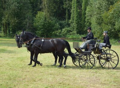 Foto des Albums: 4. Fahrertag 31.08.2024