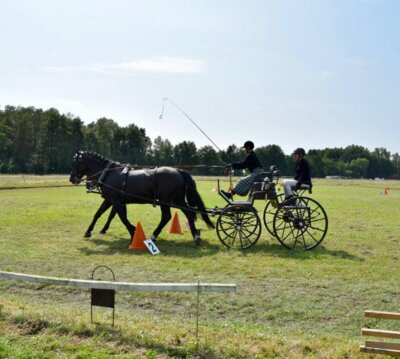 Foto des Albums: 4. Fahrertag 31.08.2024