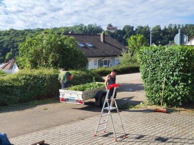 Foto des Albums: Arbeitsdienst und Grillabend